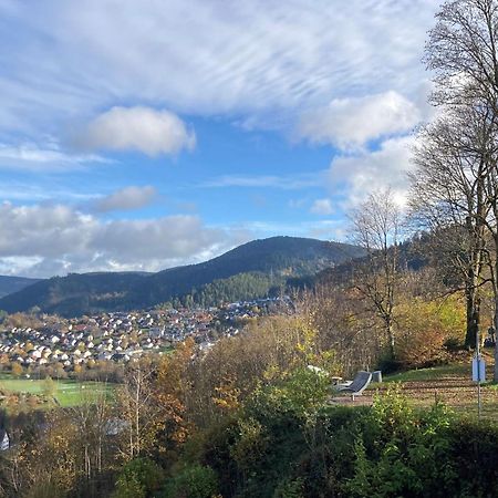 Ferienwohnung Das Nest Schiltach Exteriér fotografie