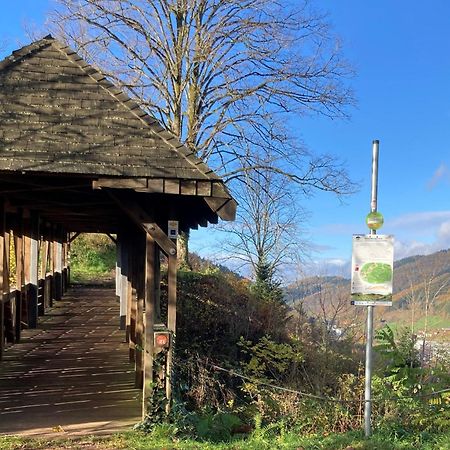 Ferienwohnung Das Nest Schiltach Exteriér fotografie