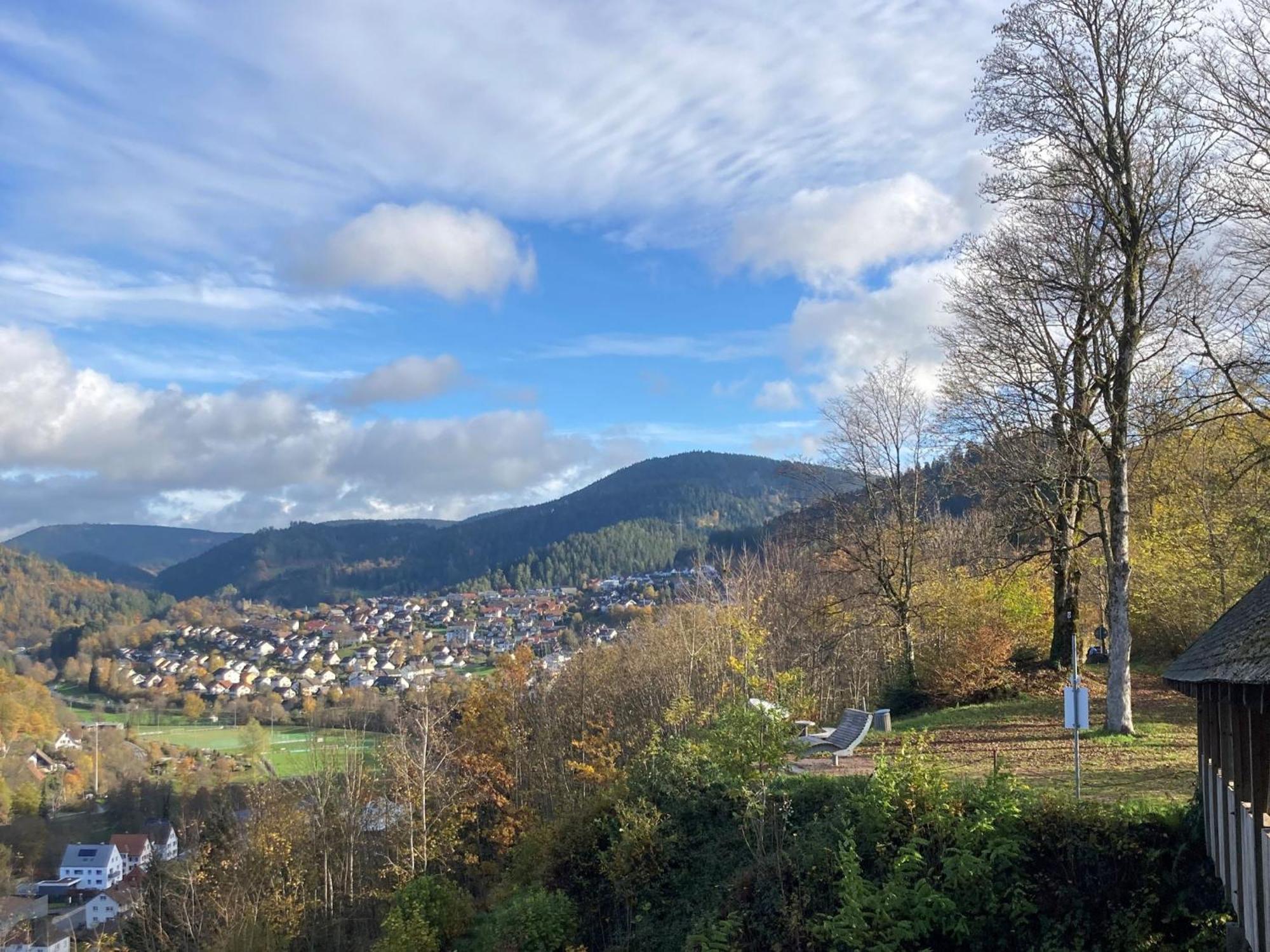 Ferienwohnung Das Nest Schiltach Exteriér fotografie