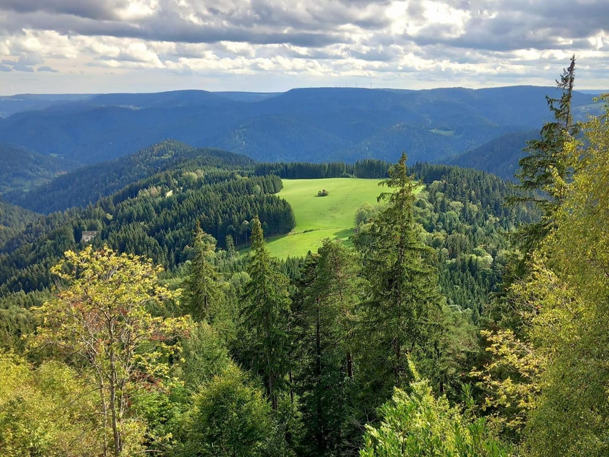 Ferienwohnung Das Nest Schiltach Exteriér fotografie