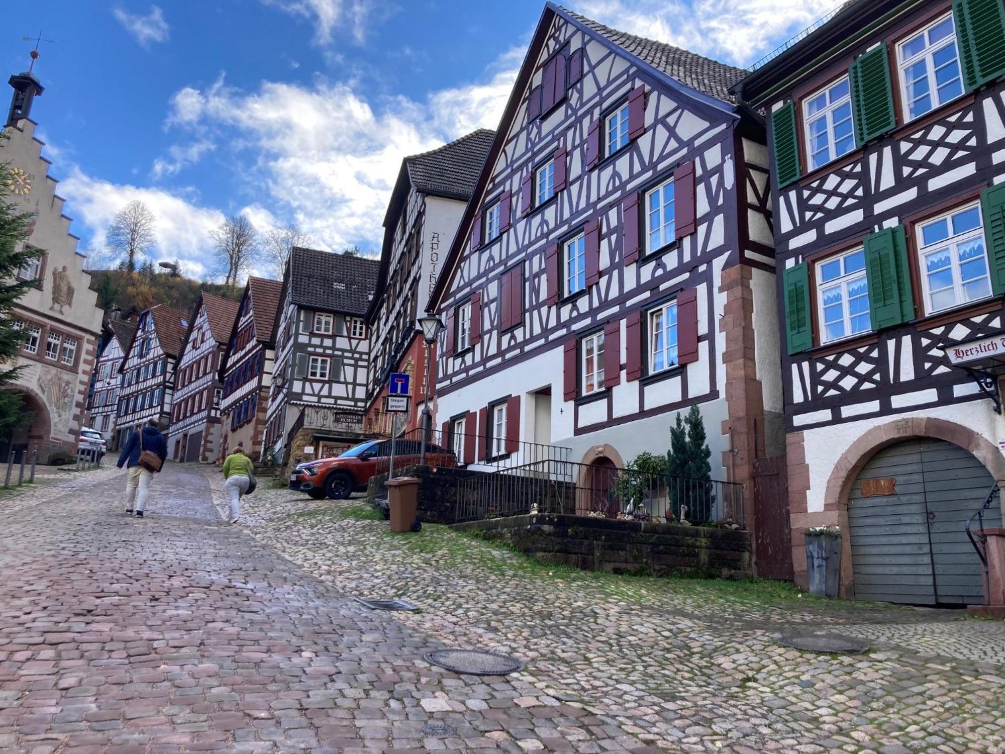 Ferienwohnung Das Nest Schiltach Exteriér fotografie